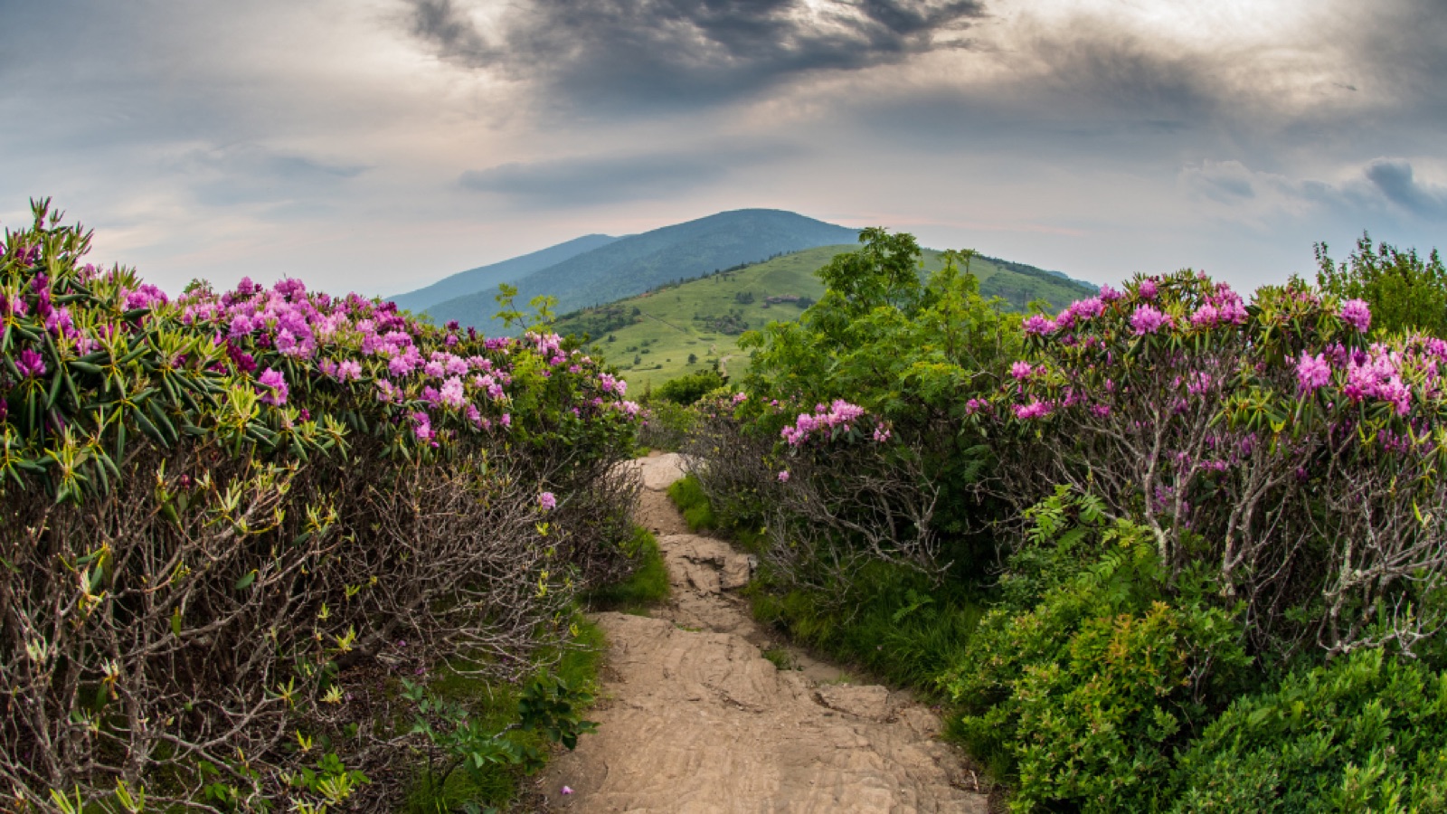 Alabama landscape