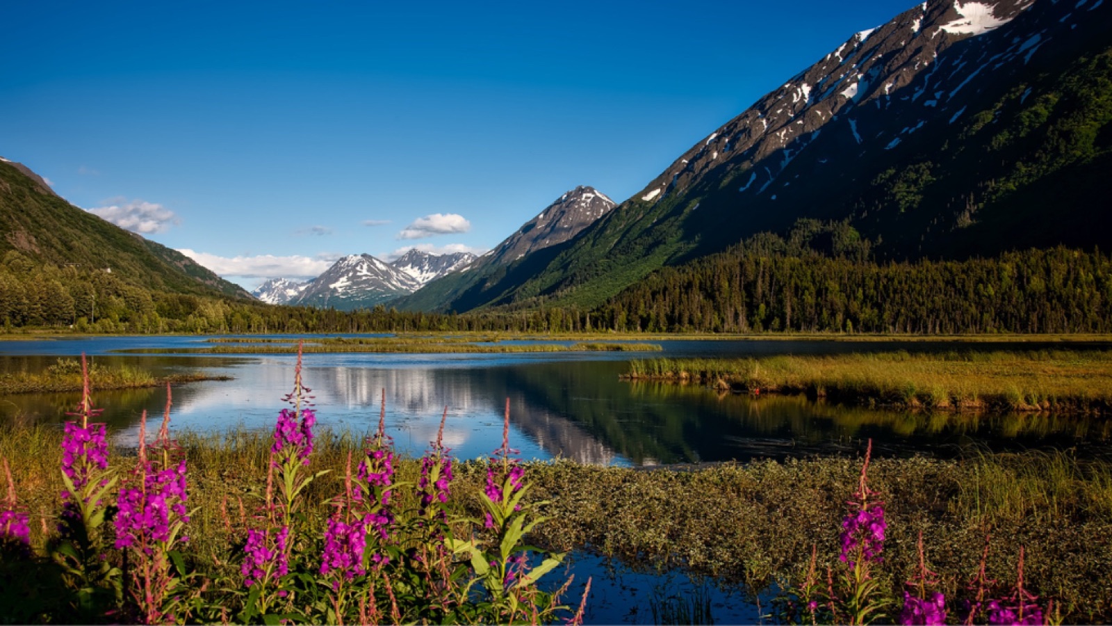 Alaska landscape