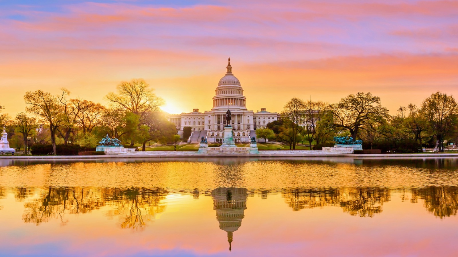 District of Columbia landscape