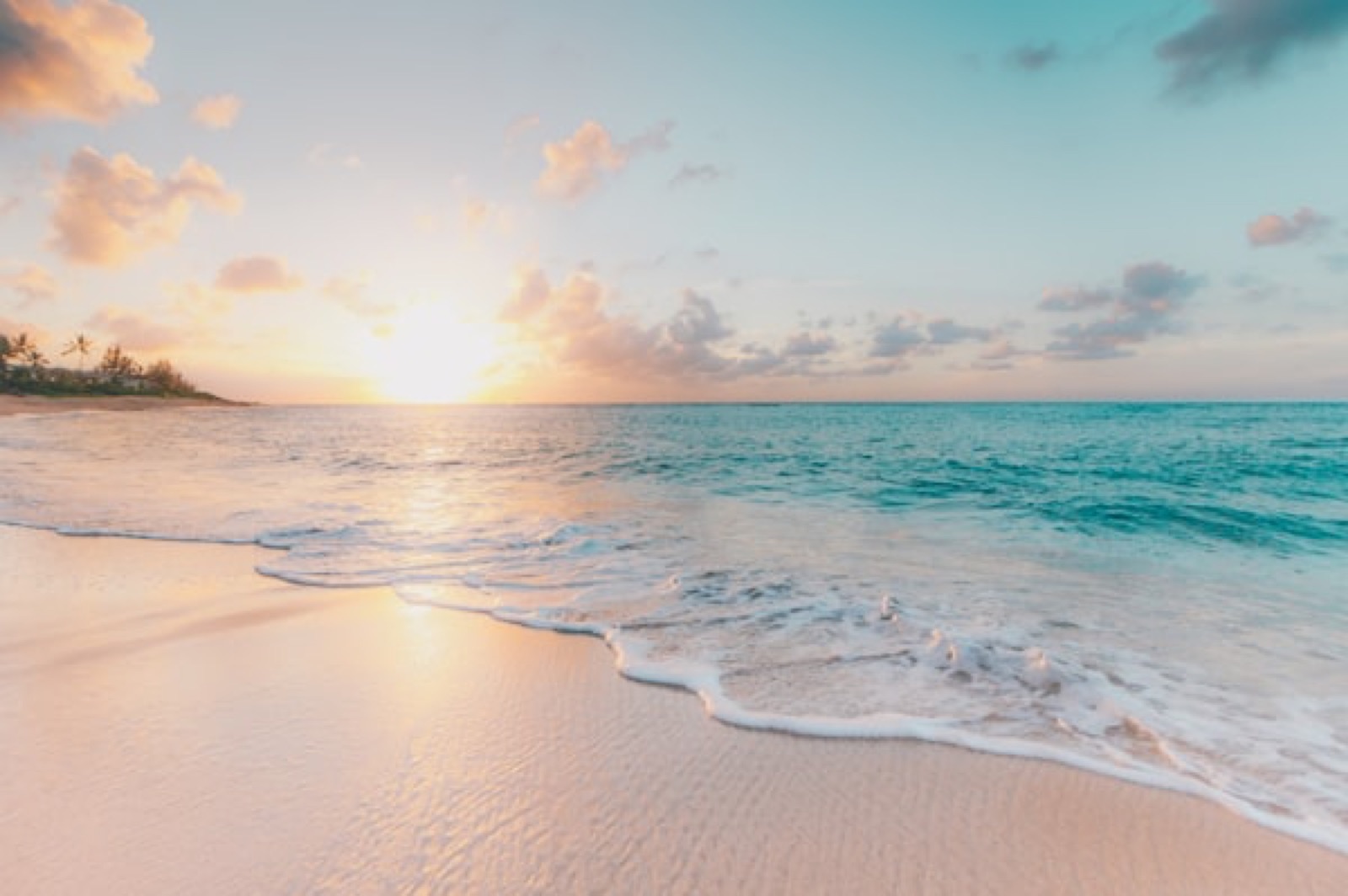 Florida landscape