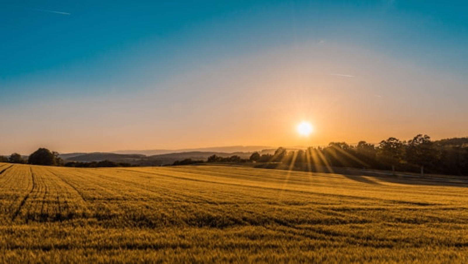 Kansas landscape