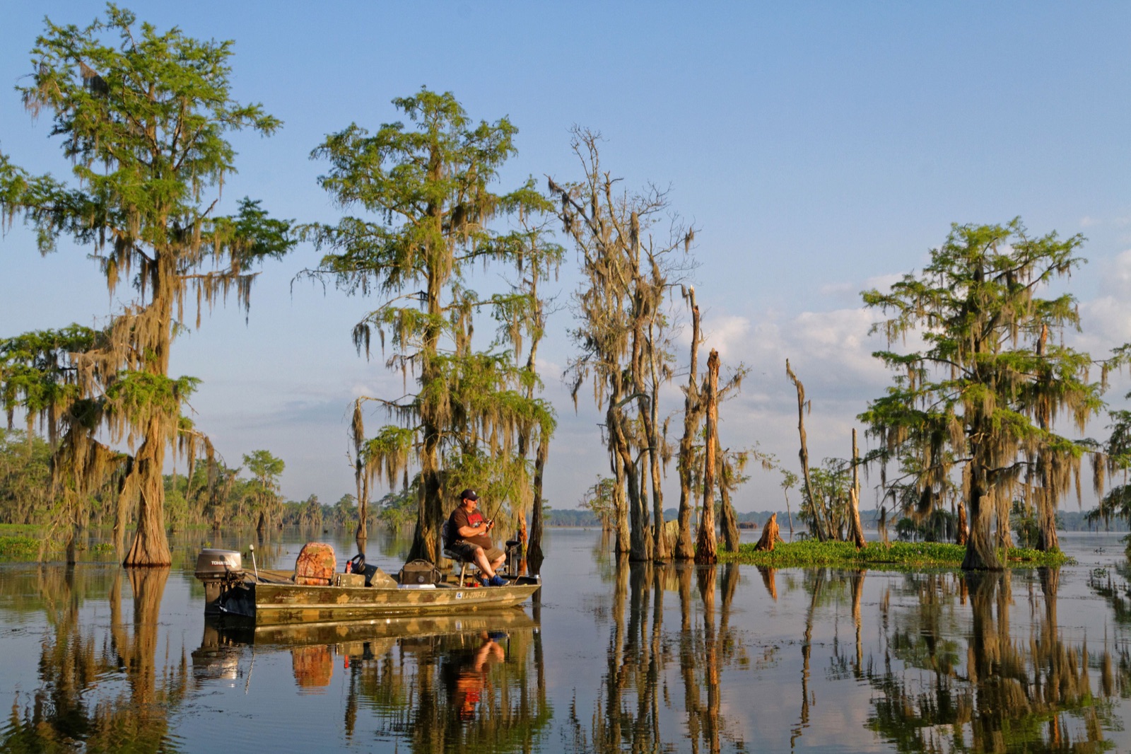 Louisiana landscape