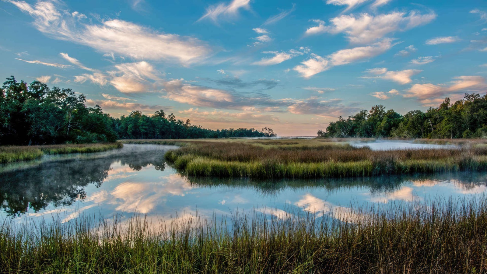 Mississippi landscape