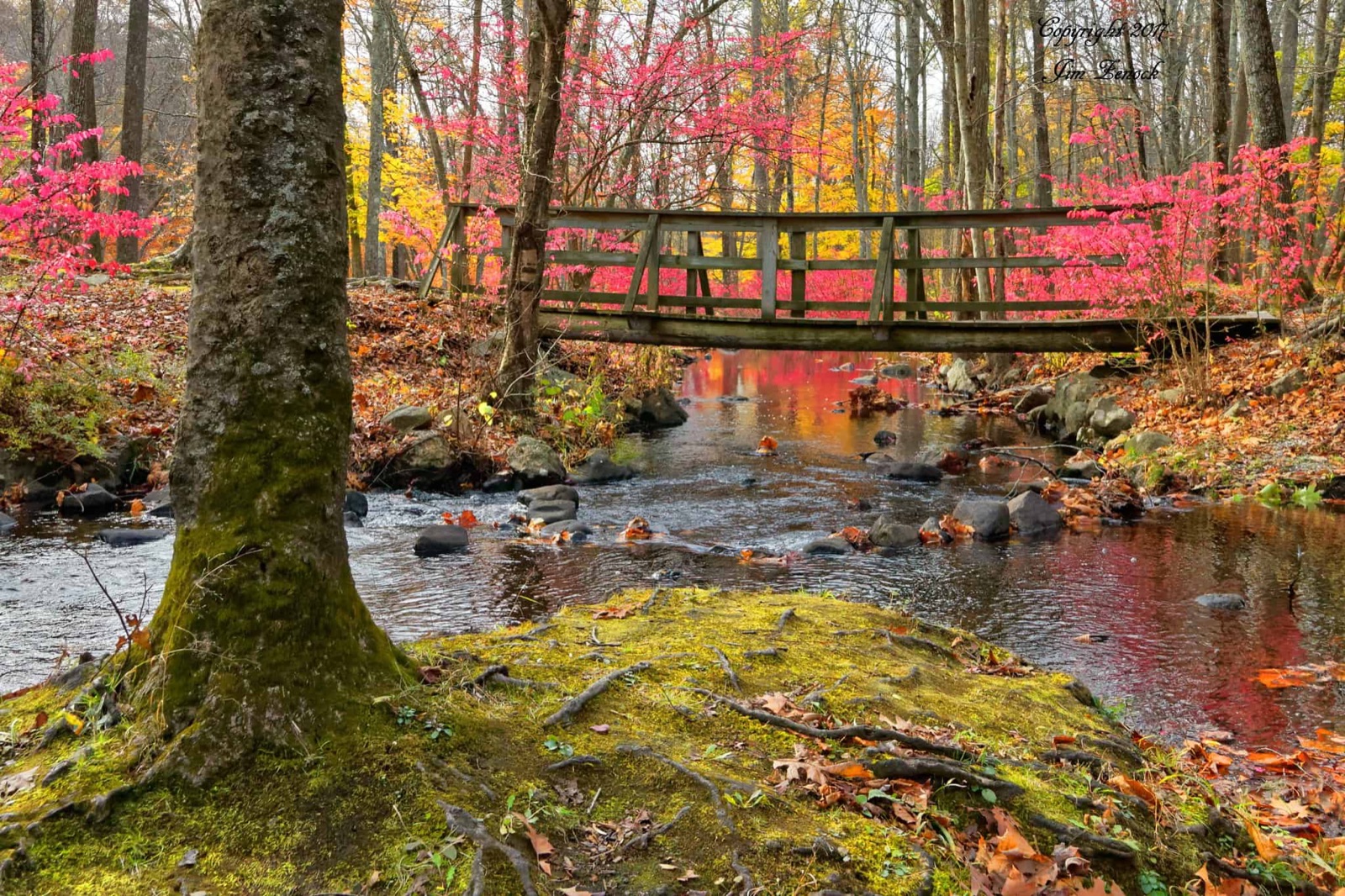 New Jersey landscape