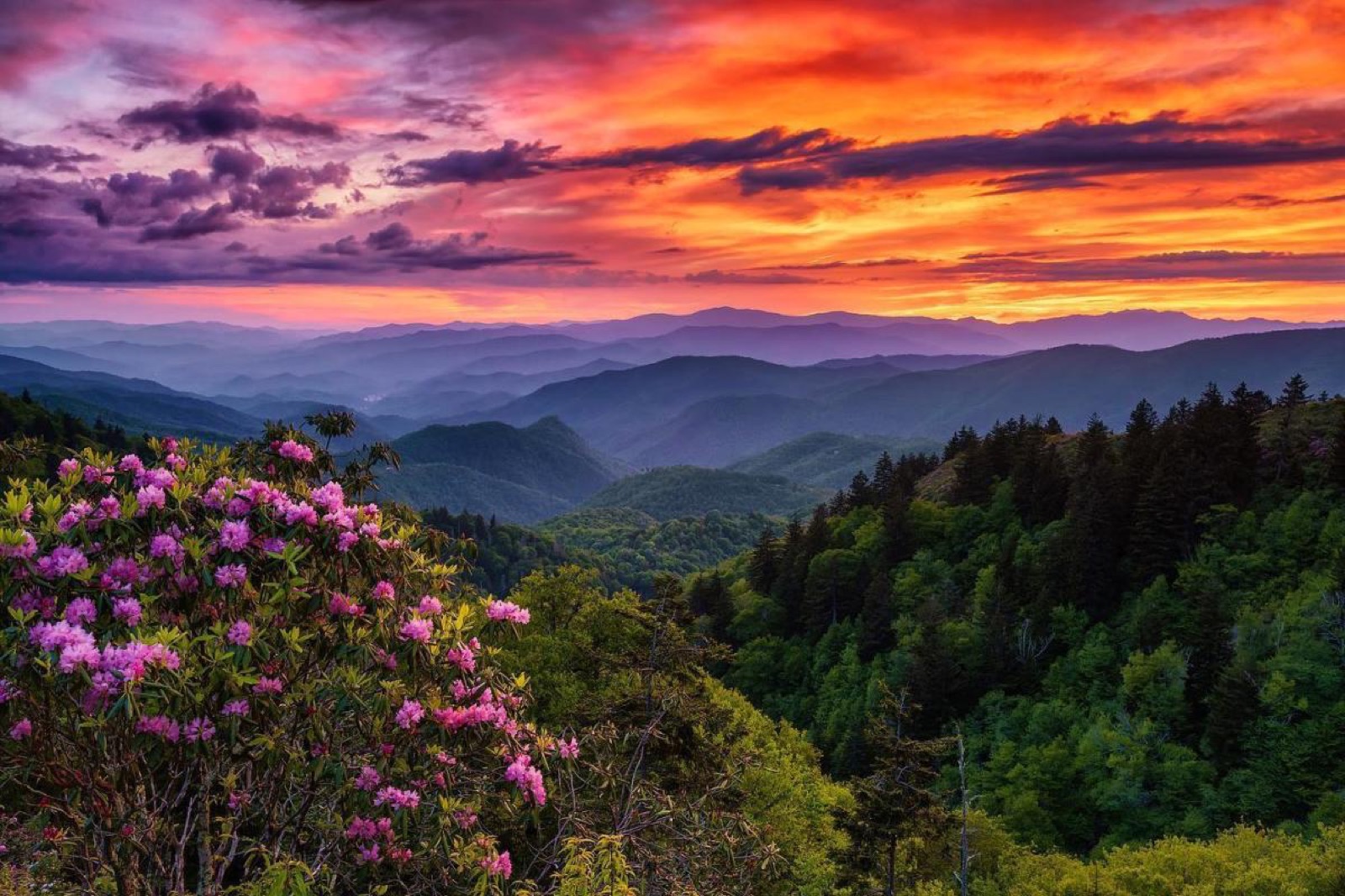 North Carolina landscape