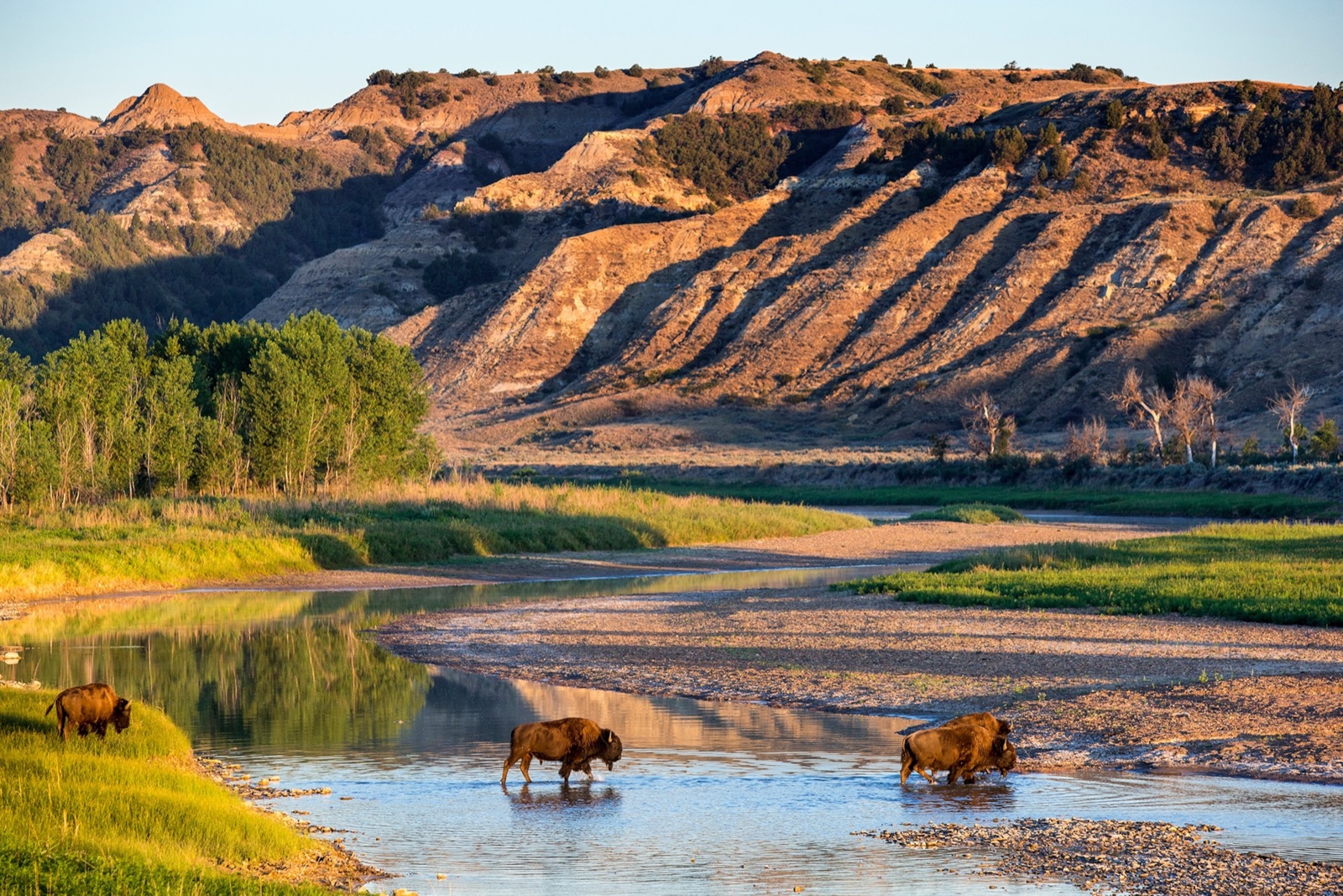 North Dakota landscape