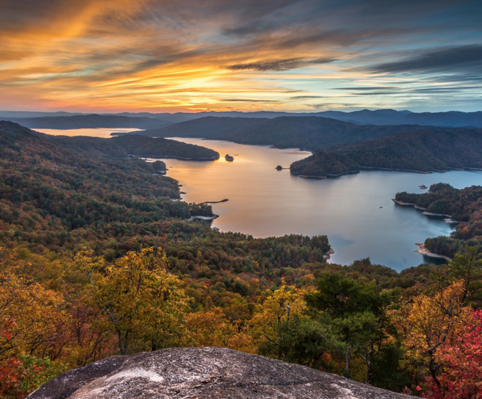 South Carolina landscape