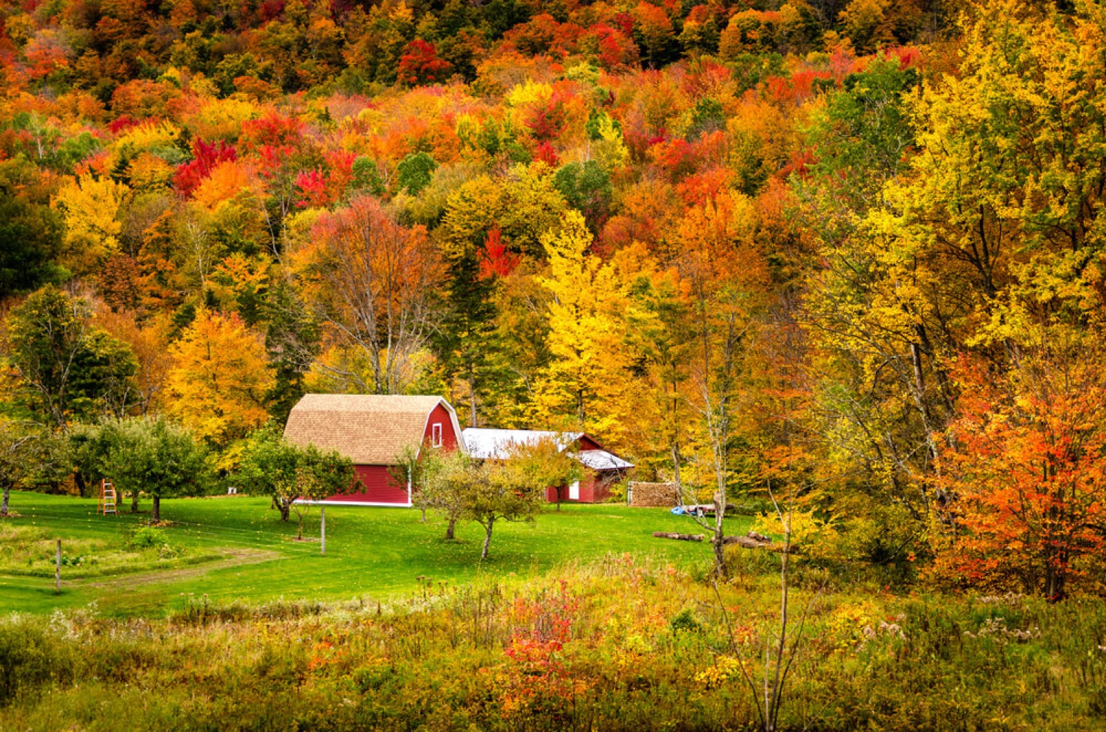 Vermont landscape