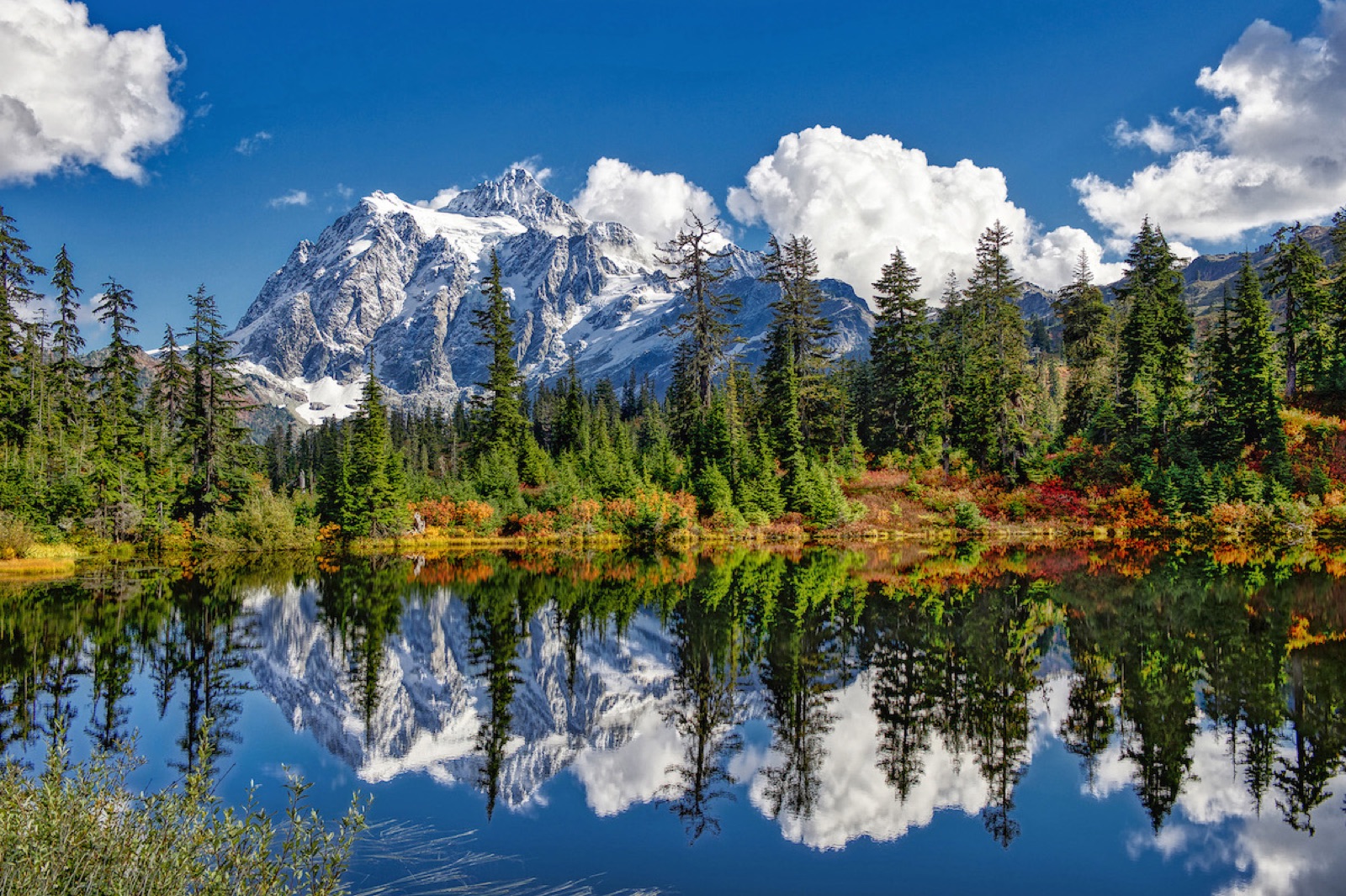 Washington landscape